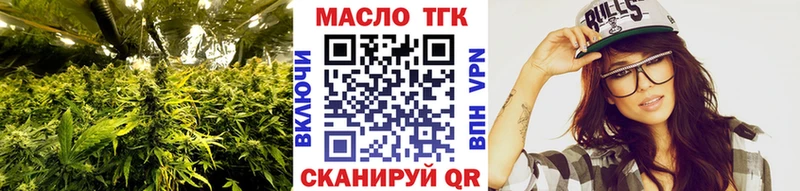 Купить закладки  Елизаветинская  ТГК концентрат 